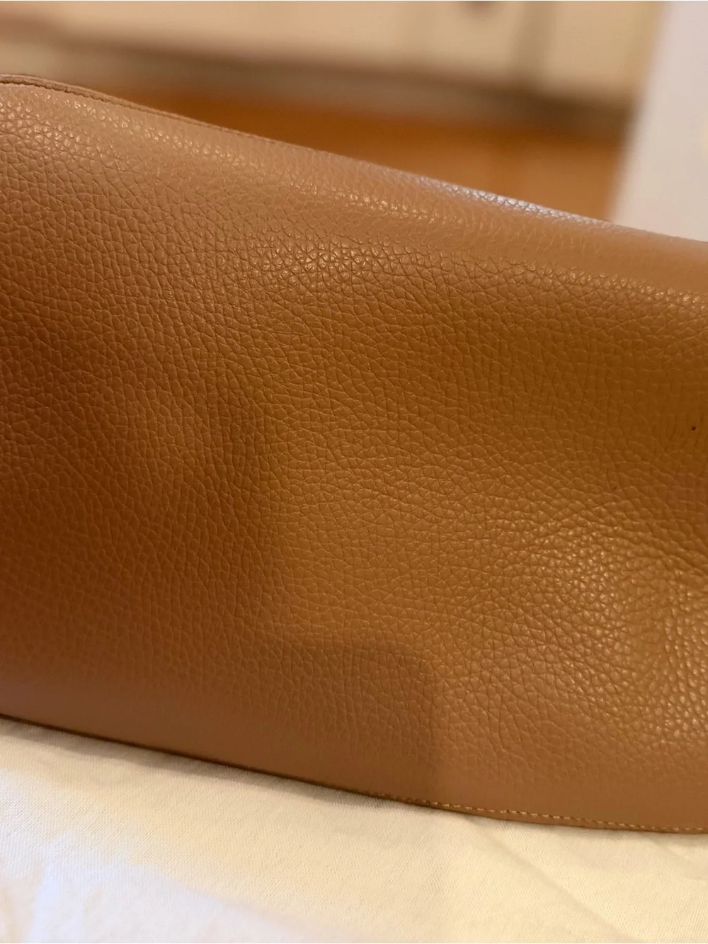 Cuyana Taupe Leather Backpack in Warm Beige